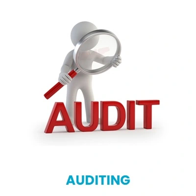Auditing Services